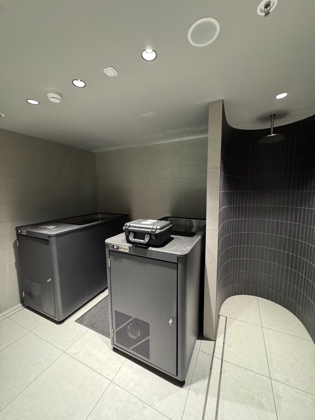 Dual cold plunge install with rain shower in a wellness centre